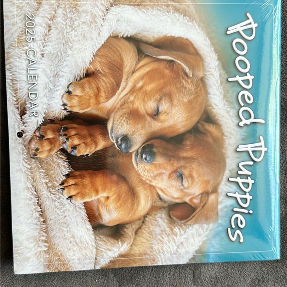 Pooped Puppies 2025 Calendar